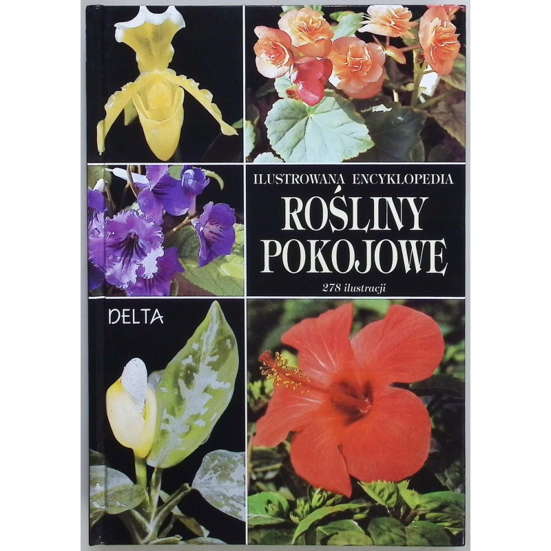Rośliny pokojowe 278 ilustracji Anna Skalicka