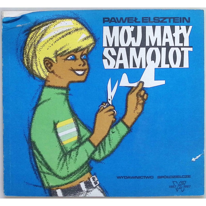 Mój mały samolot Paweł Elsztein
