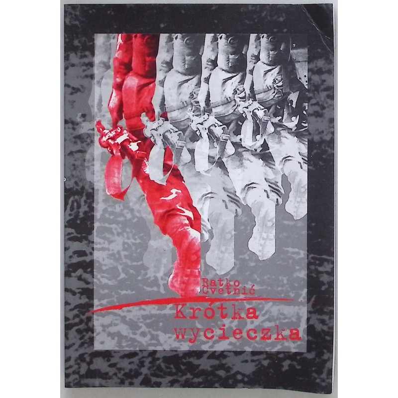 Krótka wycieczka Zapisy wojenne z lat 1992-1993 Ratko Cvetnić