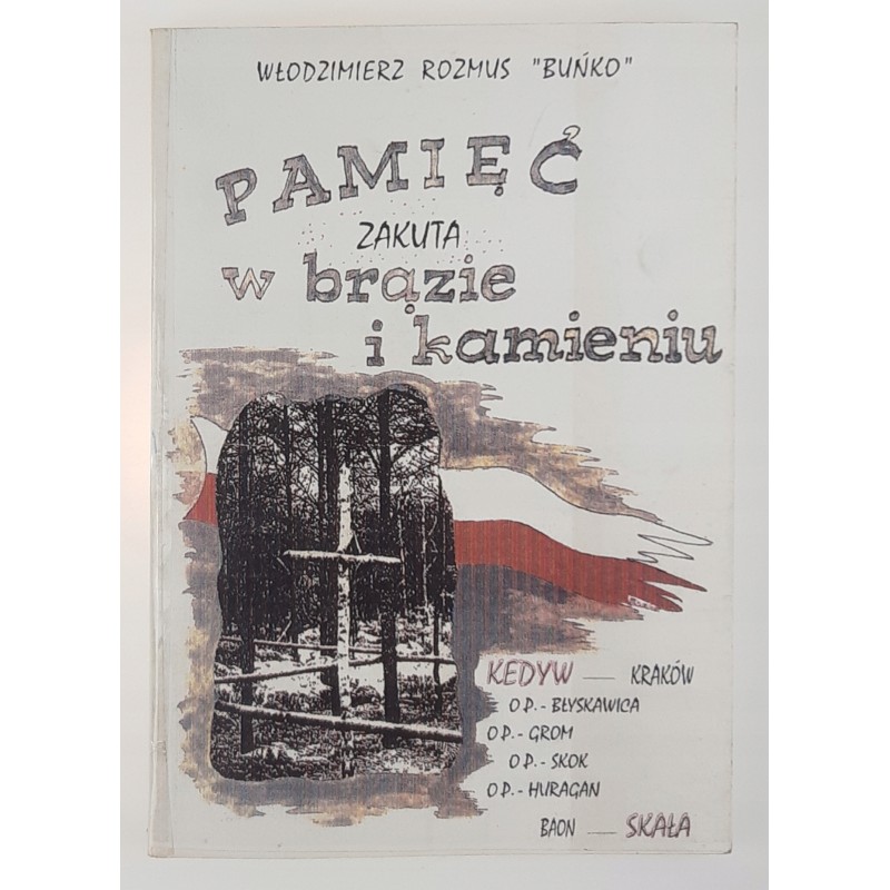Pamięć zakuta w brązie i kamieniu - W. Rozmus
