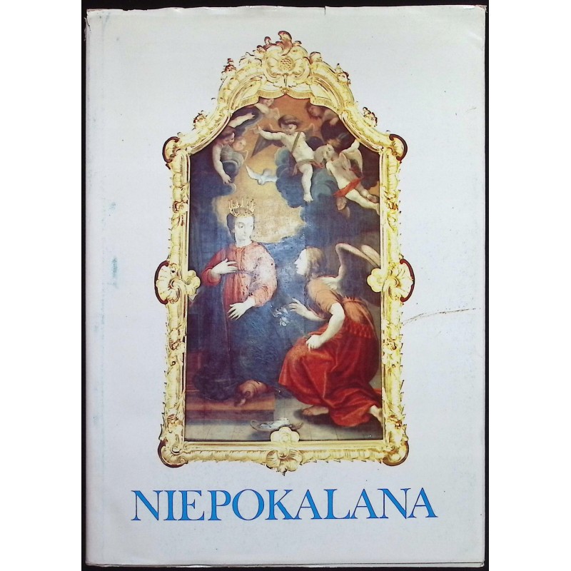 Niepokalana Kult matki Bożej na ziemiach polskich w XIX wieku