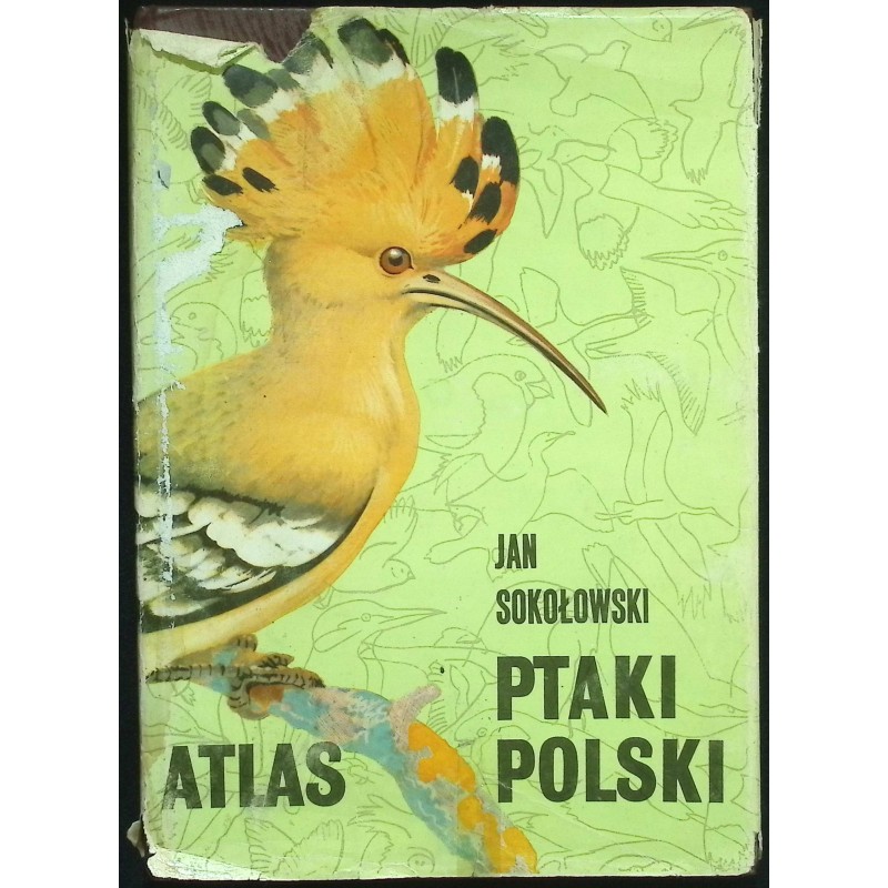 Ptaki Polski Atlas Jan Sokołowski