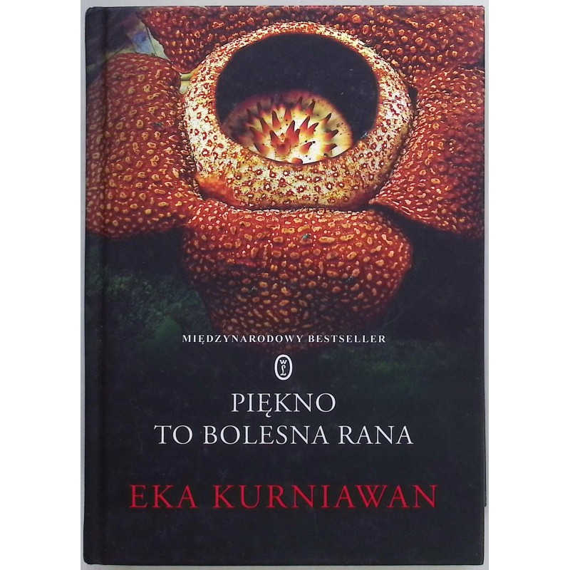 Piękno to bolesna rana Eka Kurniawan