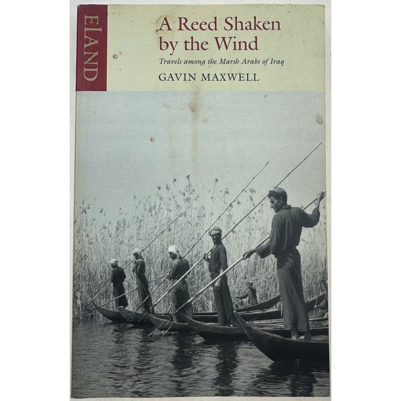 A Reed Shaken by the Wind: Travels Among the Marsh Arabs of Iraq