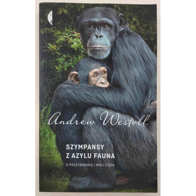 Szympansy z azylu Fauna Andrew Westoll