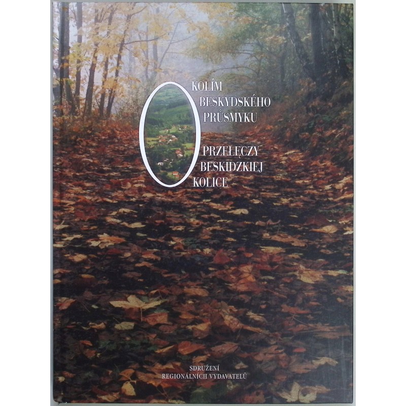 Okolice beskidzkiej przełęczy Irena Cicha