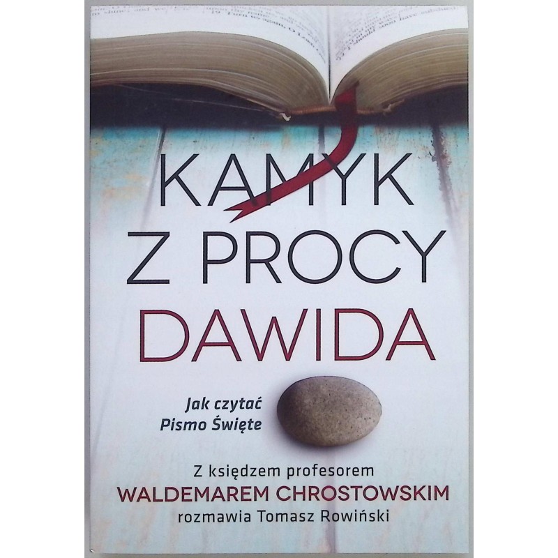 Kamyk z procy Dawida Tomasz Rowiński