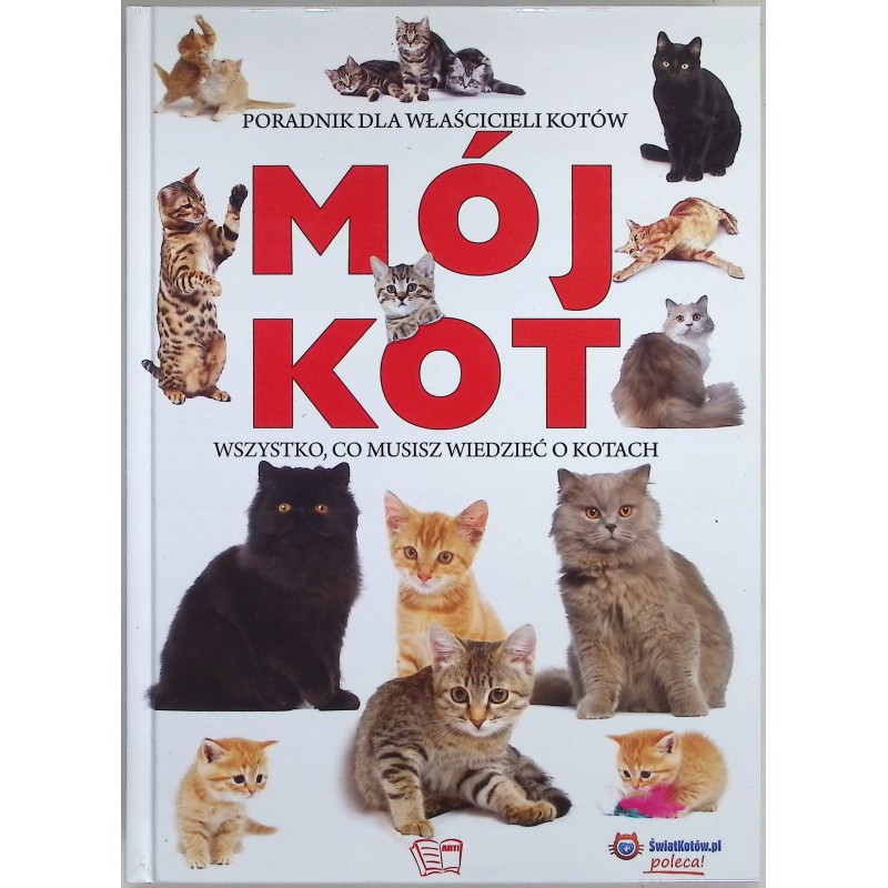 Mój kot wszystko co musisz wiedzieć o kotach