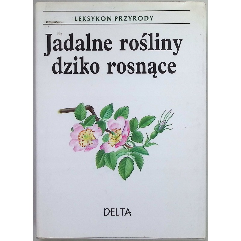 Jadalne rośliny dziko rosnące