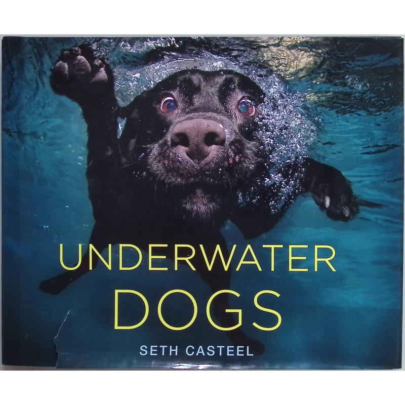 Underwater Dogs Seth Casteel
