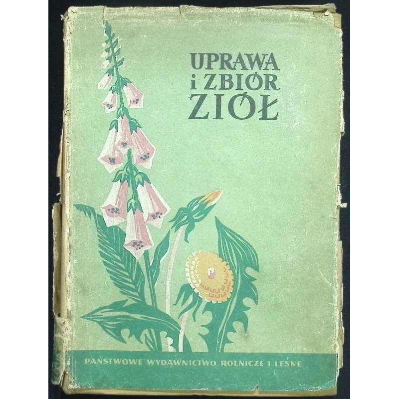 Uprawa i zbiór ziół H. Cybulska