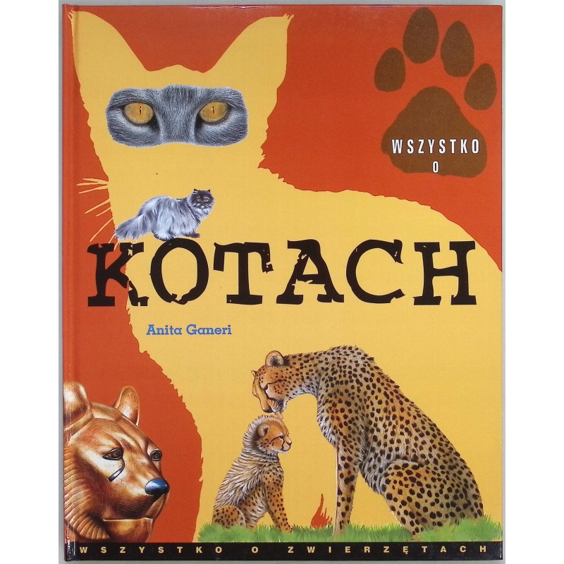 Wszystko O kotach Anita Ganeri
