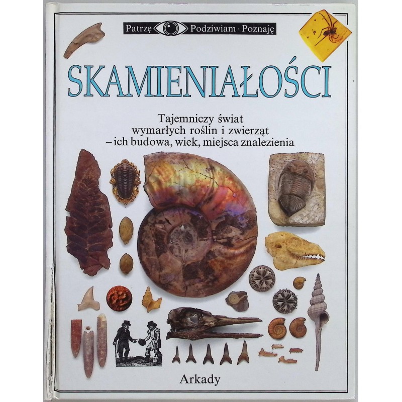 Skamieniałości Paul D Taylor