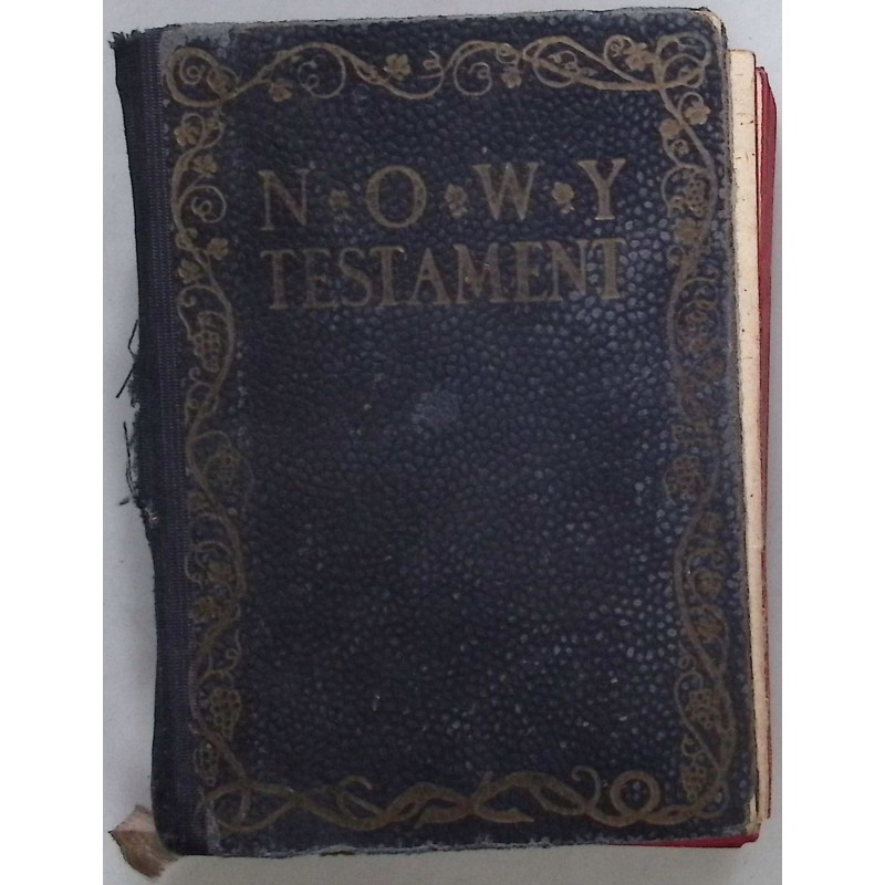 Pismo Święte Nowego Testamentu przekł. Eugeniusza Dąbrowskiego