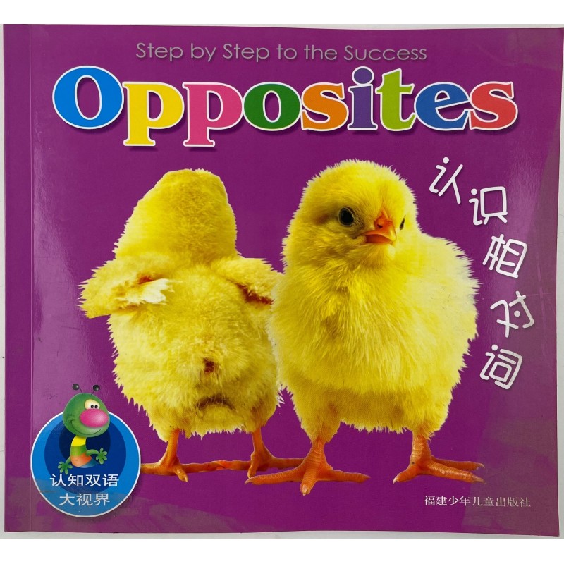 Step by step to the success zestaw 4 książek