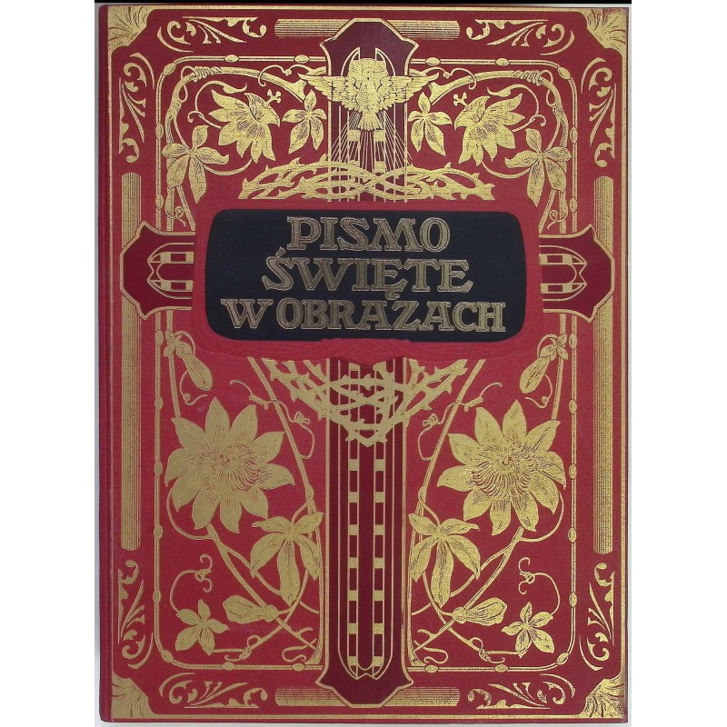 Pismo Święte w obrazach
