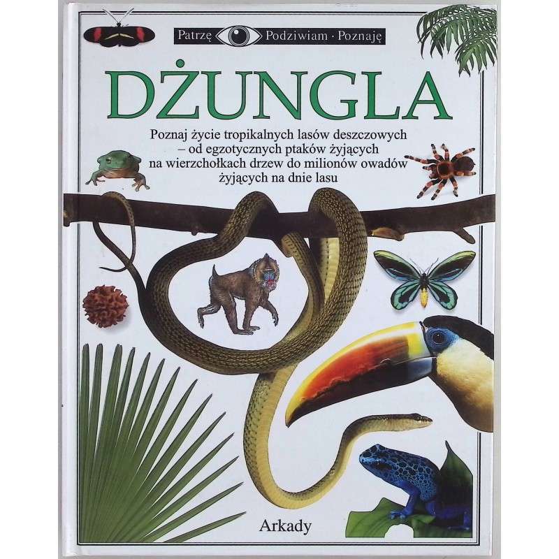 Patrzę Podziwiam Poznaję Dżungla