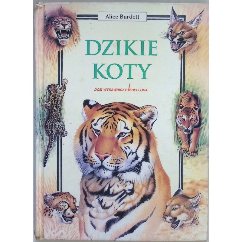 Dzikie koty Alice Burdett