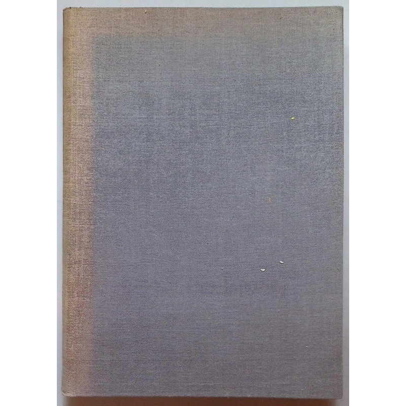 Strofika M. R Mayenowej