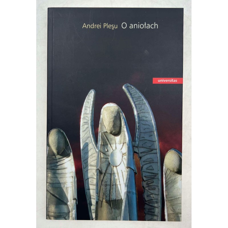 O aniołach Andrei Plesu