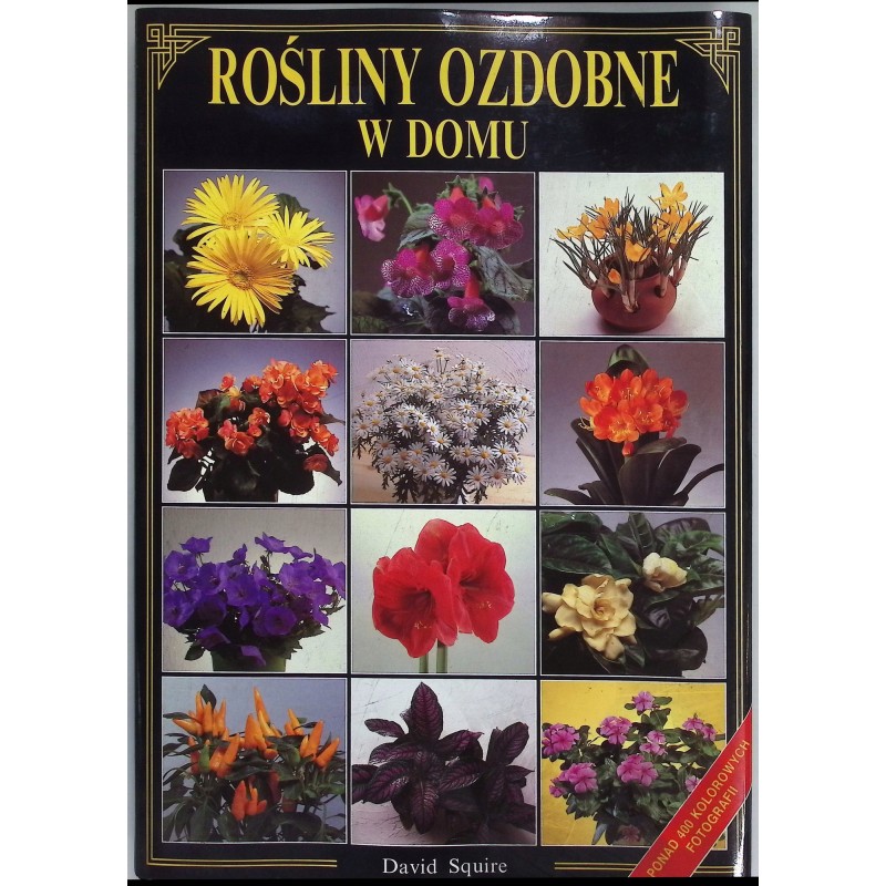 Rośliny ozdobne w domu David Squire