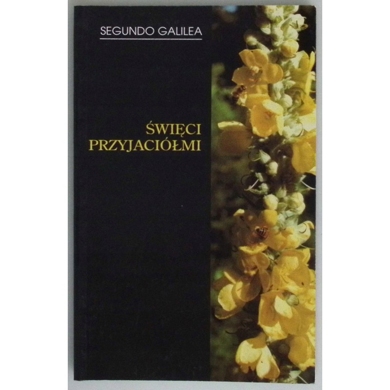 Święci przyjaciółmi Galiliea