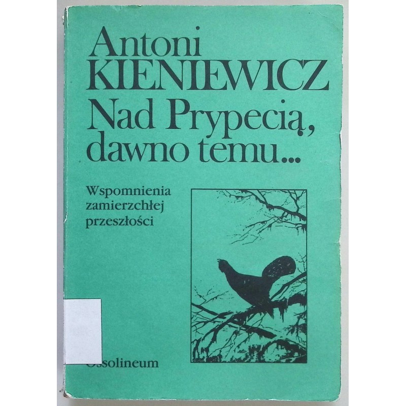 Nad Prypecią, dawno temu... Antoni Kieniewicz