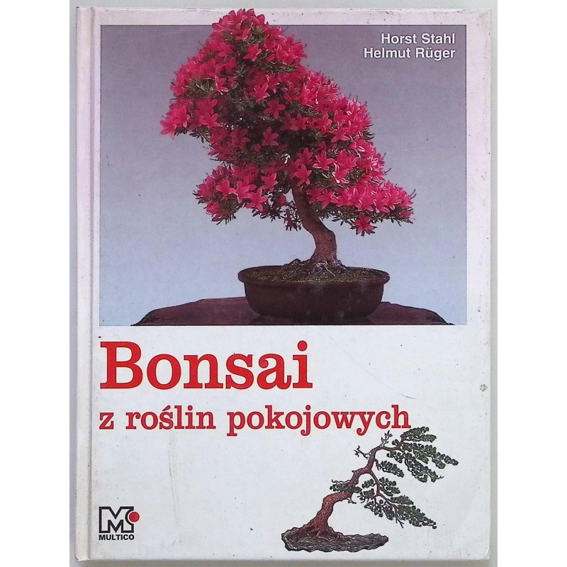 Bonsai z roślin pokojowych