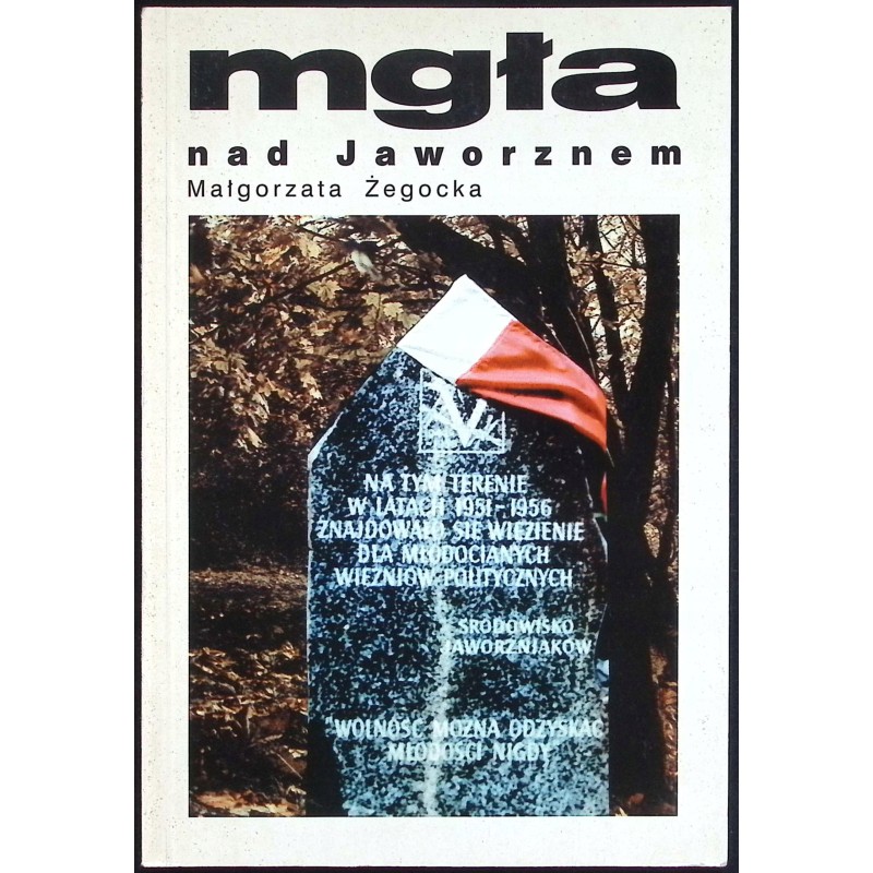 Mgła nad Jaworznem Małgorzata Żegocka