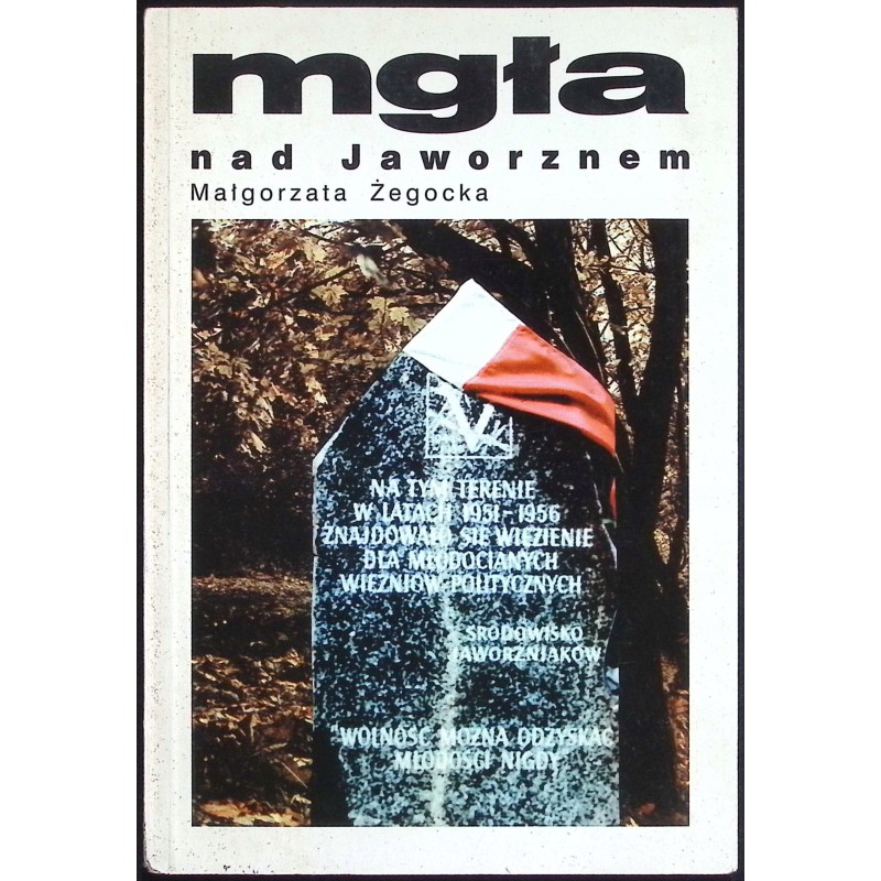 Mgła nad Jaworznem Małgorzata Żegocka